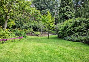 Optimiser l'expérience du jardin à Villedieu-les-Bailleul